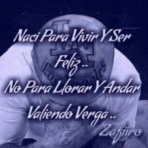 Meet your Posher, Dennis